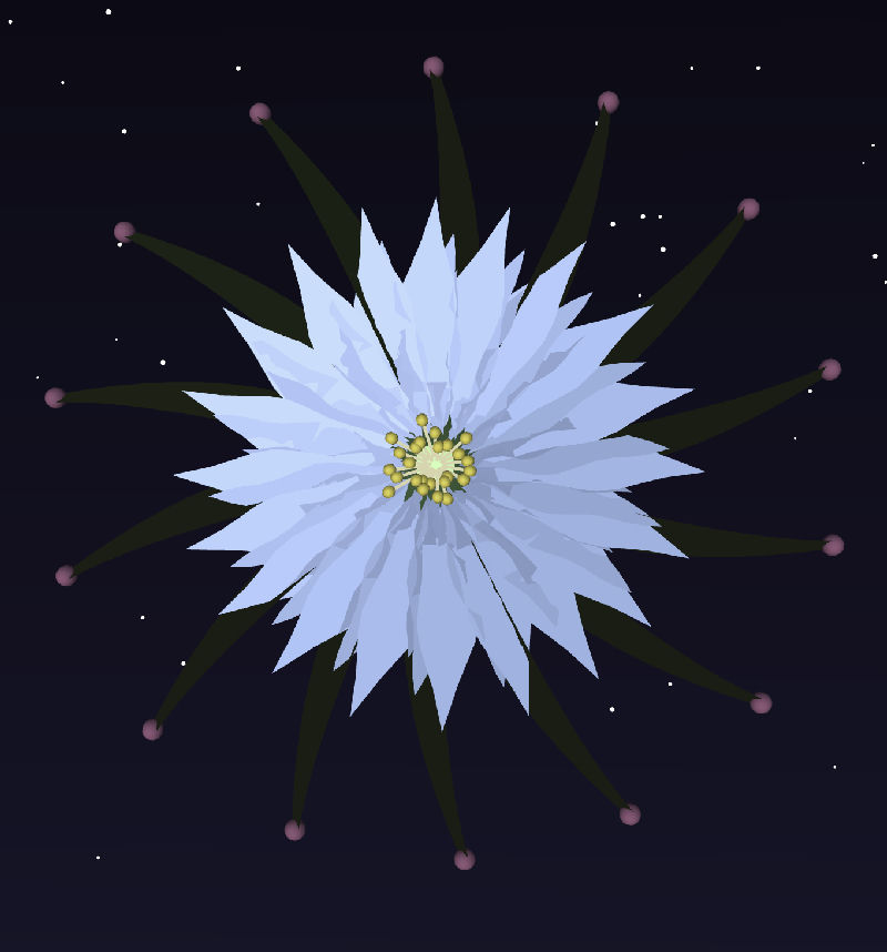Night-blooming cereus