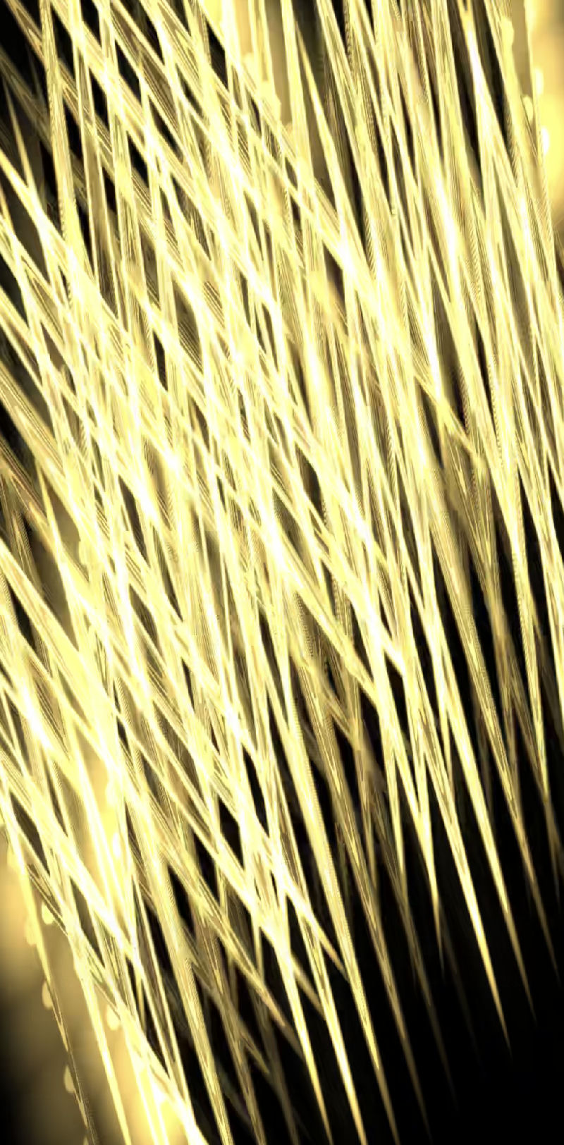 sigil (visual synth)